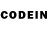 Псилоцибиновые грибы GOLDEN TEACHER Natalya Cohen